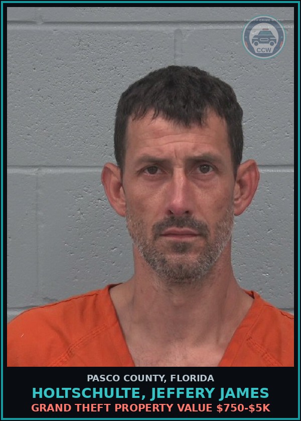Booking mugshot of HOLTSCHULTE, JEFFERY JAMES in Pasco County