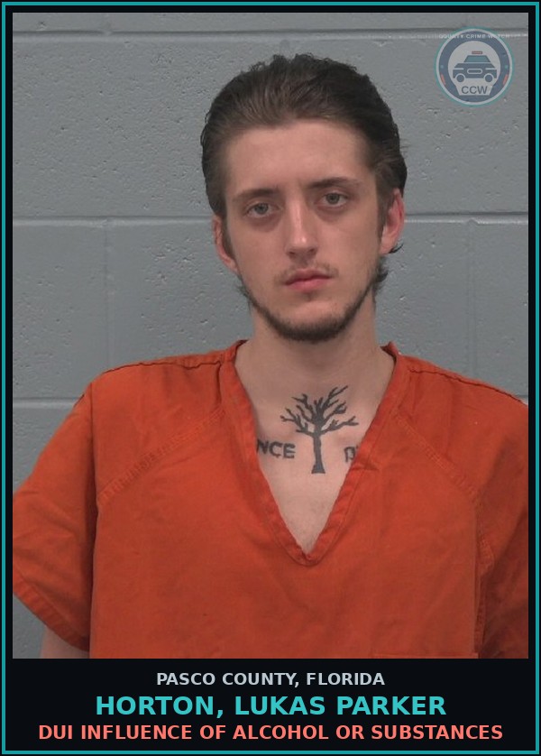 Booking mugshot of HORTON, LUKAS PARKER in Pasco County