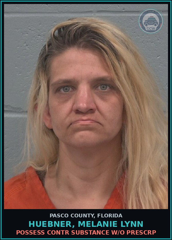 Booking mugshot of HUEBNER, MELANIE LYNN in Pasco County