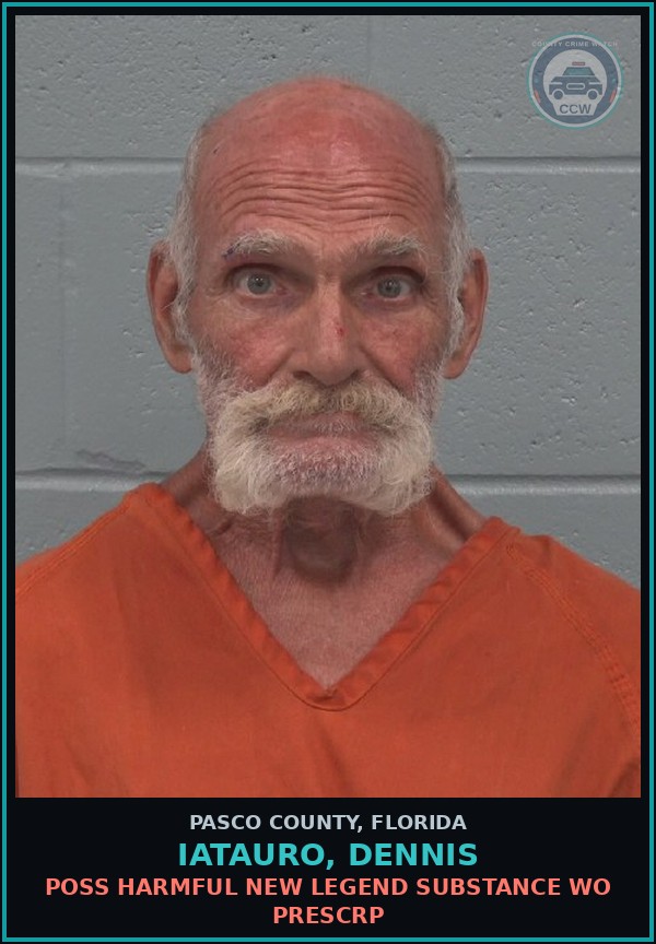 Booking mugshot of IATAURO, DENNIS in Pasco County