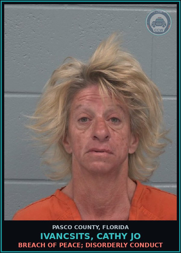 Booking mugshot of IVANCSITS, CATHY JO in Pasco County