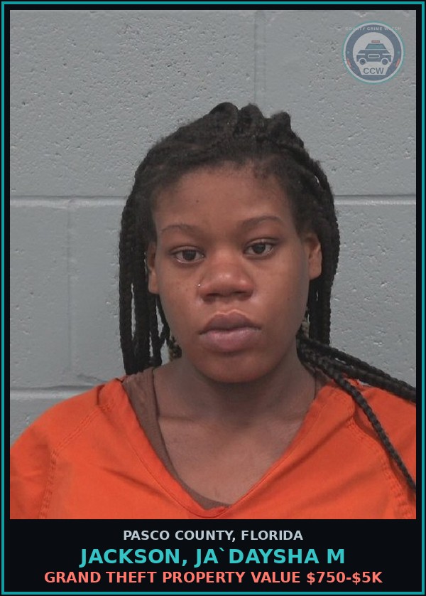 Booking mugshot of JACKSON, JA`DAYSHA M in Pasco County