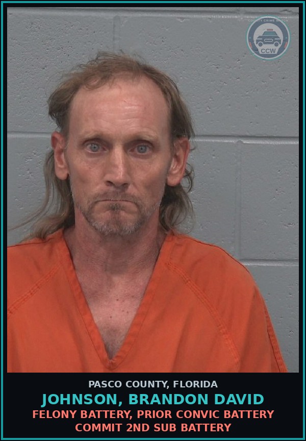 Booking mugshot of JOHNSON, BRANDON DAVID in Pasco County