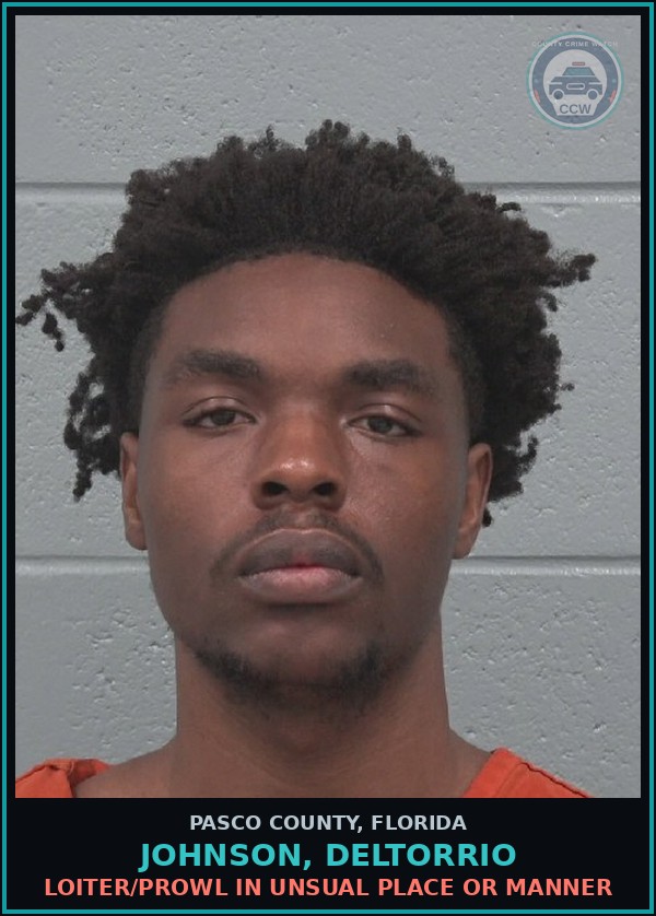 Booking mugshot of JOHNSON, DELTORRIO in Pasco County