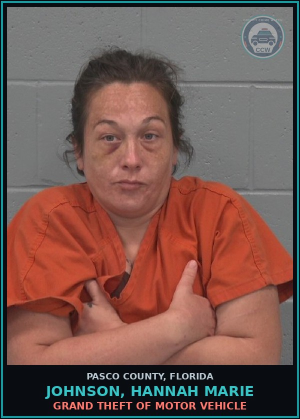 Booking mugshot of JOHNSON, HANNAH MARIE in Pasco County