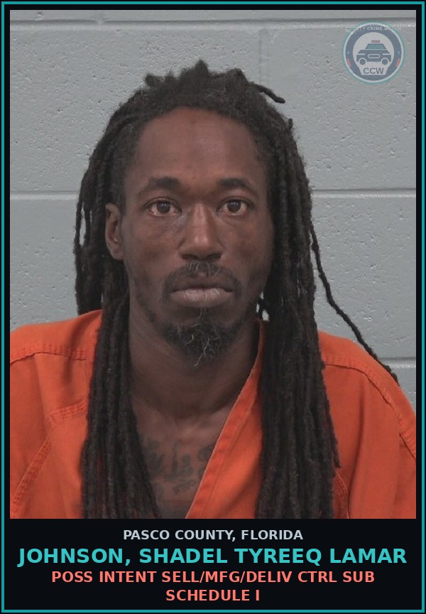 Booking mugshot of JOHNSON, SHADEL TYREEQ LAMAR in Pasco County