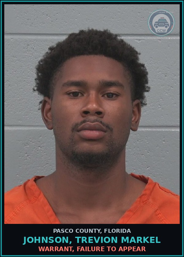 Booking mugshot of JOHNSON, TREVION MARKEL in Pasco County