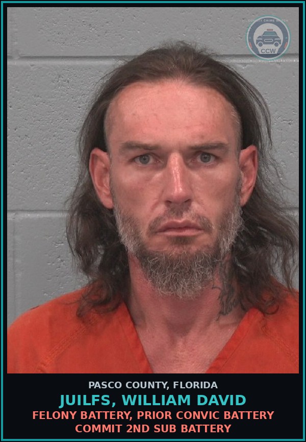 Booking mugshot of JUILFS, WILLIAM DAVID in Pasco County