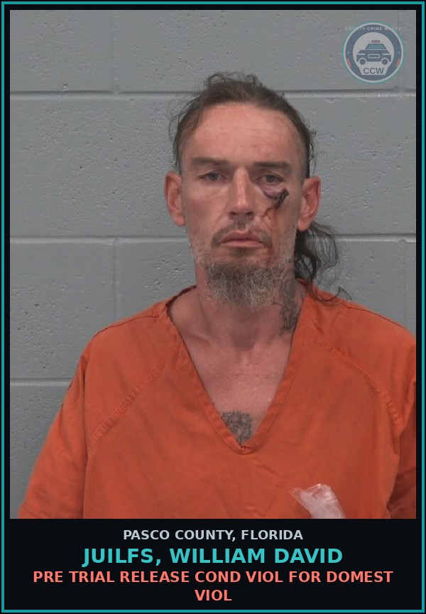 Booking mugshot of JUILFS, WILLIAM DAVID in Pasco County