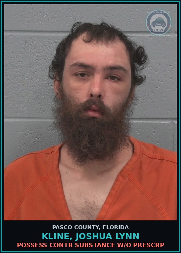 Booking mugshot of KLINE, JOSHUA LYNN in Pasco County