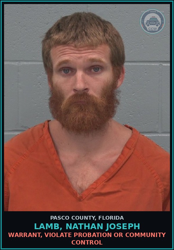Booking mugshot of LAMB, NATHAN JOSEPH in Pasco County