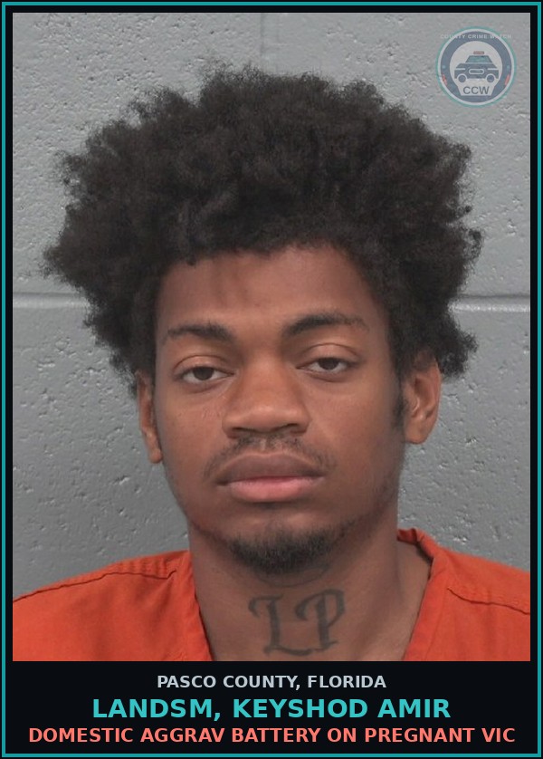 Booking mugshot of LANDSM, KEYSHOD AMIR in Pasco County