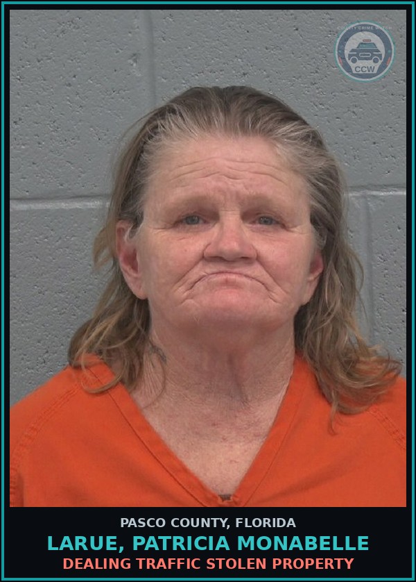 Booking mugshot of LARUE, PATRICIA MONABELLE in Pasco County