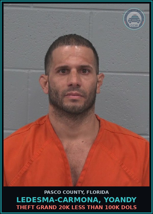Booking mugshot of LEDESMA-CARMONA, YOANDY in Pasco County