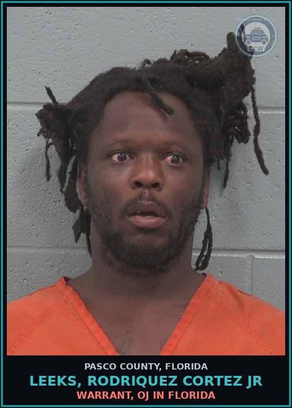 Booking mugshot of LEEKS, RODRIQUEZ CORTEZ JR in Pasco County