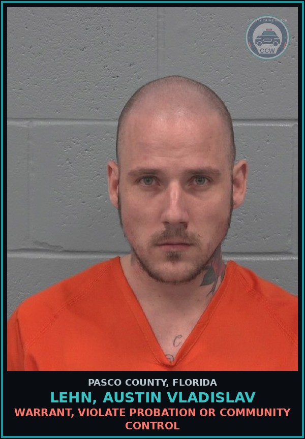 Booking mugshot of LEHN, AUSTIN VLADISLAV in Pasco County