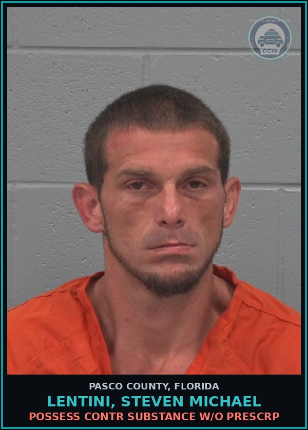 Booking mugshot of LENTINI, STEVEN MICHAEL in Pasco County