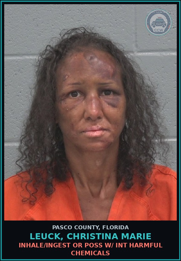 Booking mugshot of LEUCK, CHRISTINA MARIE in Pasco County