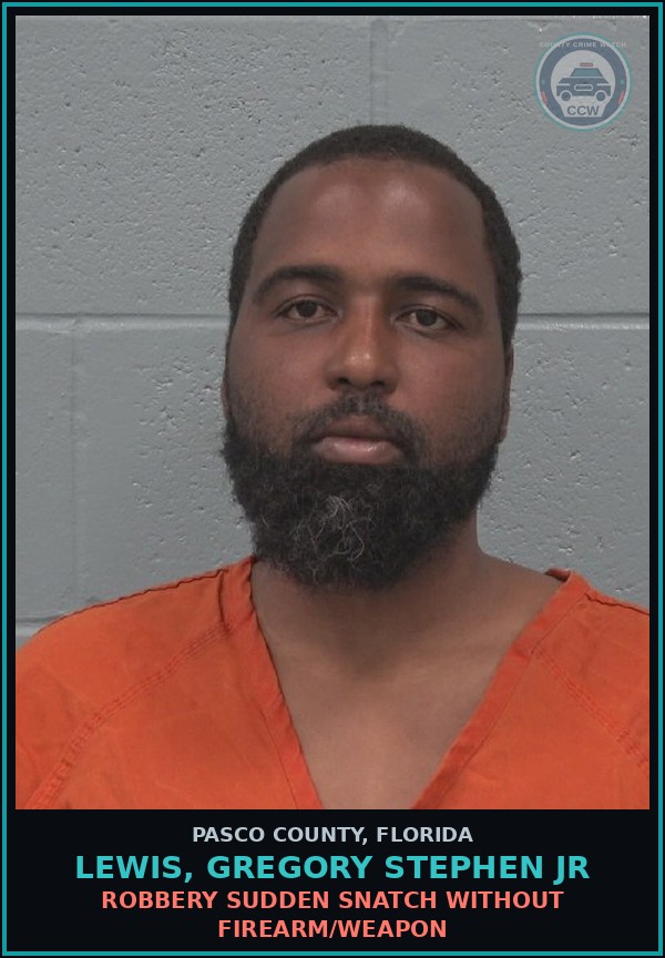 Booking mugshot of LEWIS, GREGORY STEPHEN JR in Pasco County