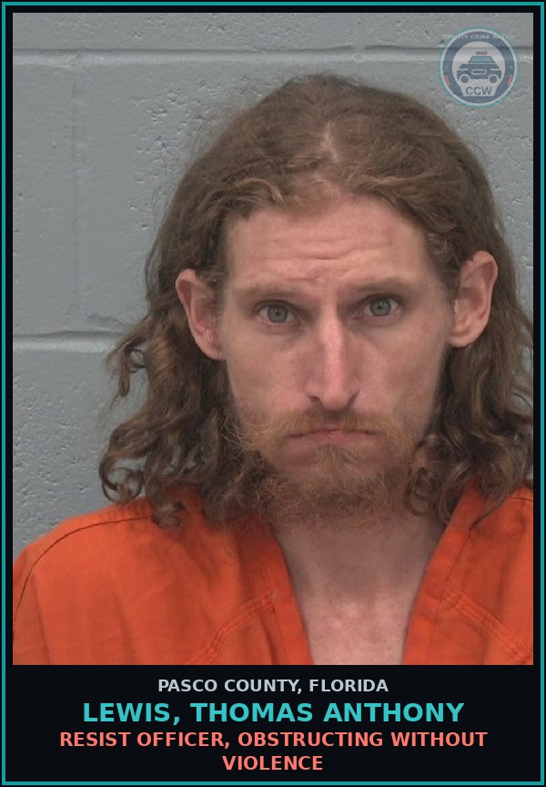 Booking mugshot of LEWIS, THOMAS ANTHONY in Pasco County