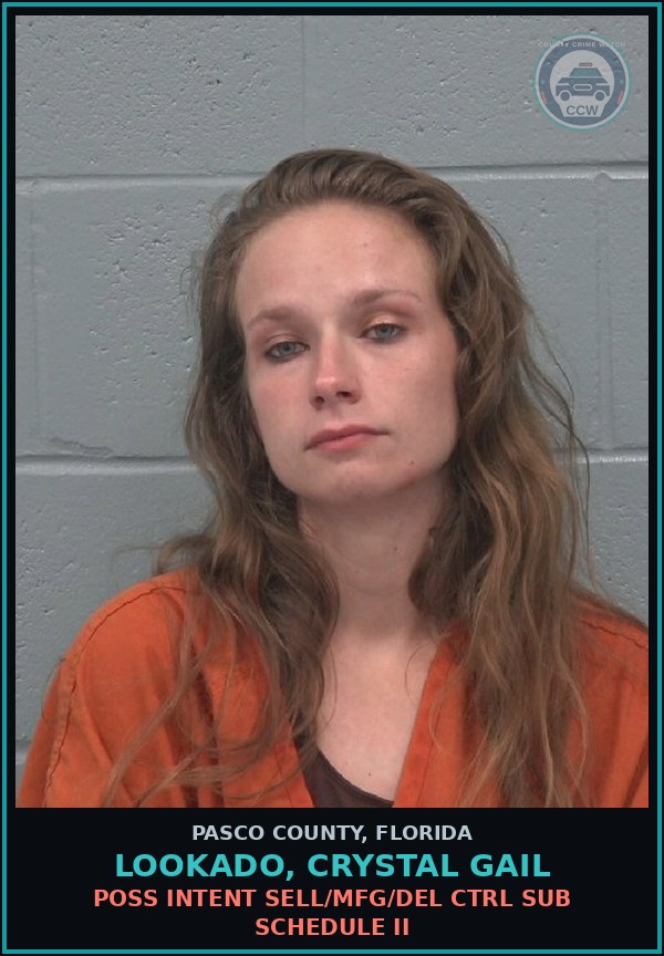 Booking mugshot of LOOKADO, CRYSTAL GAIL in Pasco County