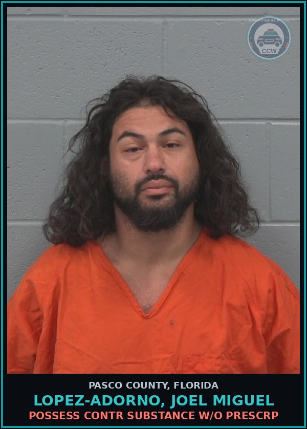 Booking mugshot of LOPEZ-ADORNO, JOEL MIGUEL in Pasco County