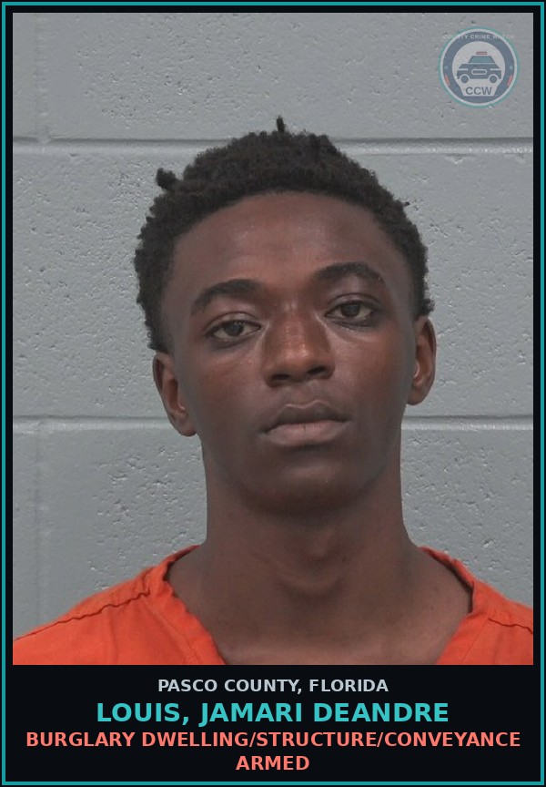 Booking mugshot of LOUIS, JAMARI DEANDRE in Pasco County
