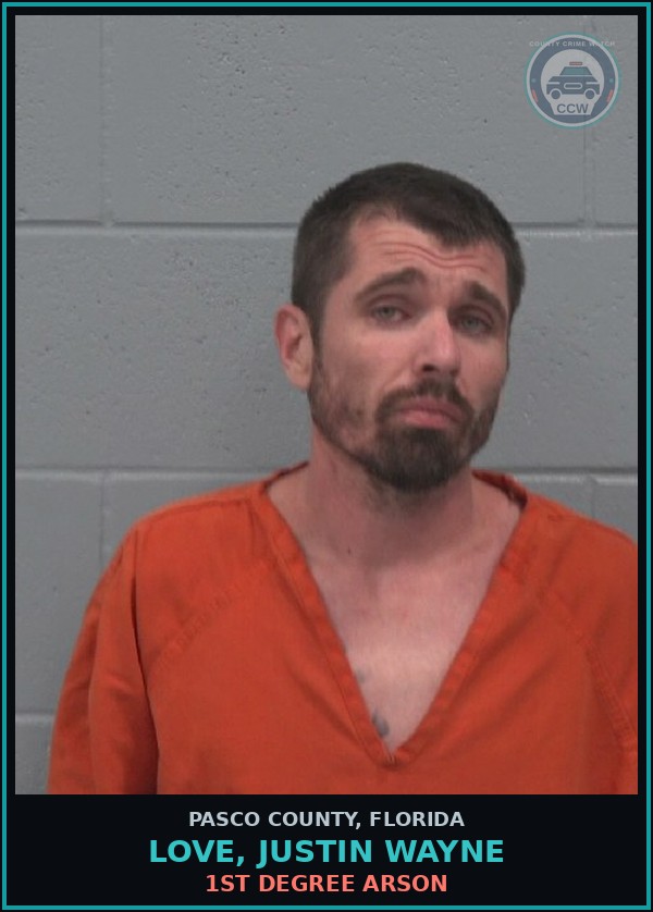 Booking mugshot of LOVE, JUSTIN WAYNE in Pasco County