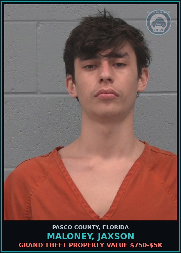 Booking mugshot of MALONEY, JAXSON in Pasco County