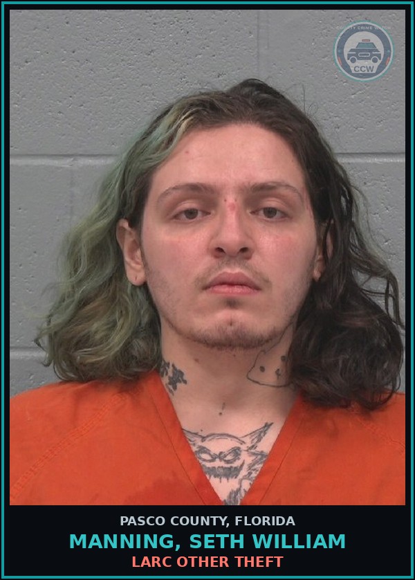 Booking mugshot of MANNING, SETH WILLIAM in Pasco County