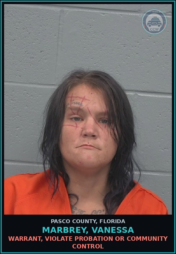 Booking mugshot of MARBREY, VANESSA in Pasco County