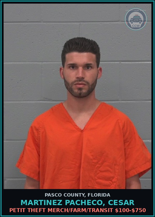 Booking mugshot of MARTINEZ PACHECO, CESAR in Pasco County