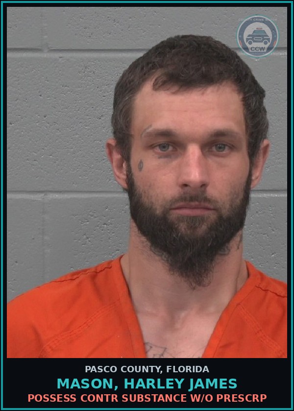 Booking mugshot of MASON, HARLEY JAMES in Pasco County
