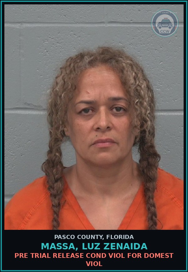 Booking mugshot of MASSA, LUZ ZENAIDA in Pasco County