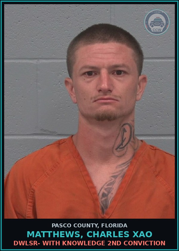 Booking mugshot of MATTHEWS, CHARLES XAO in Pasco County