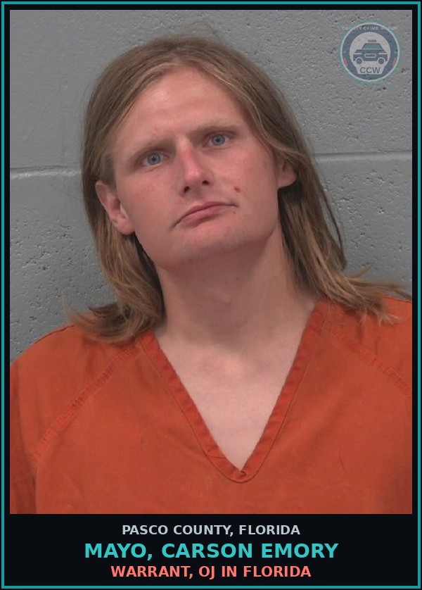 Booking mugshot of MAYO, CARSON EMORY in Pasco County