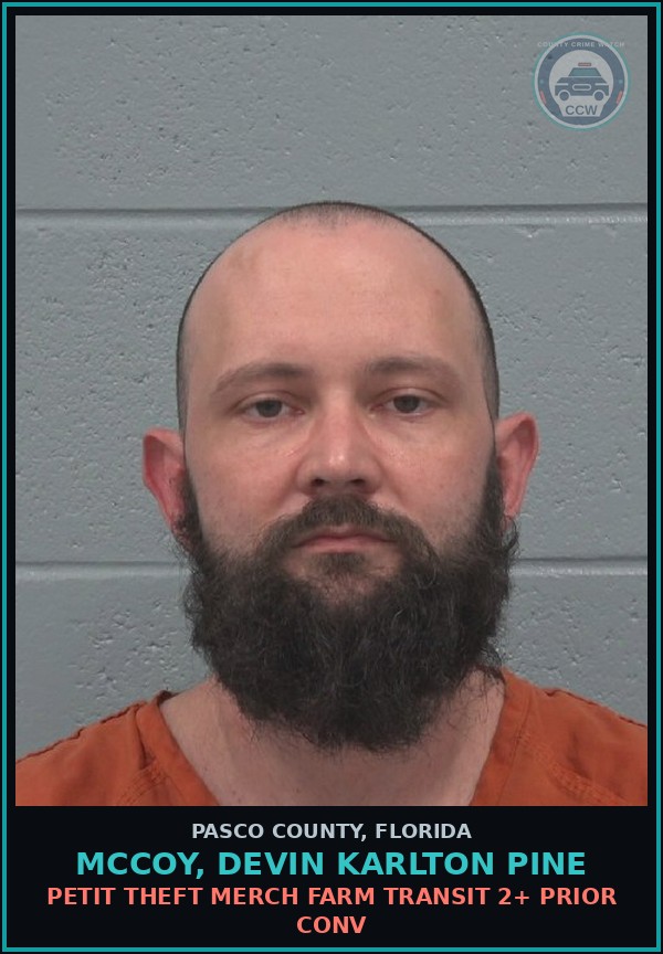 Booking mugshot of MCCOY, DEVIN KARLTON PINE in Pasco County