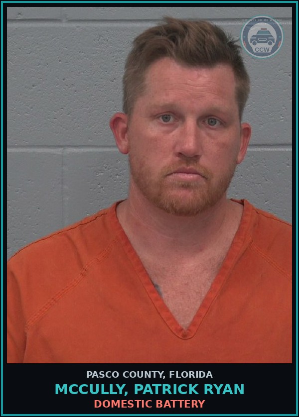 Booking mugshot of MCCULLY, PATRICK RYAN in Pasco County