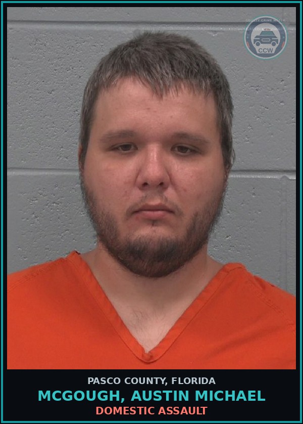 Booking mugshot of MCGOUGH, AUSTIN MICHAEL in Pasco County