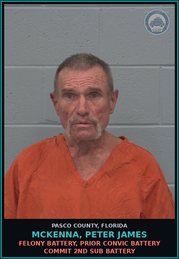 Booking mugshot of MCKENNA, PETER JAMES in Pasco County