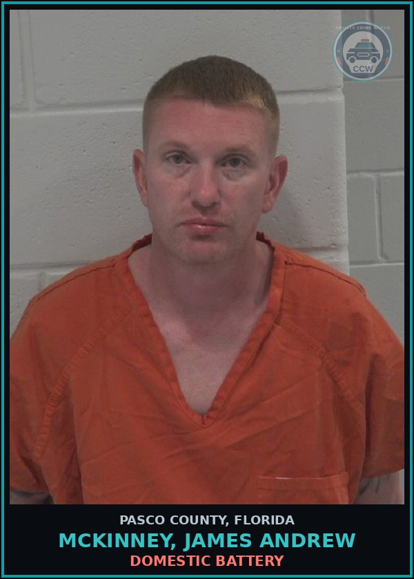 Booking mugshot of MCKINNEY, JAMES ANDREW in Pasco County