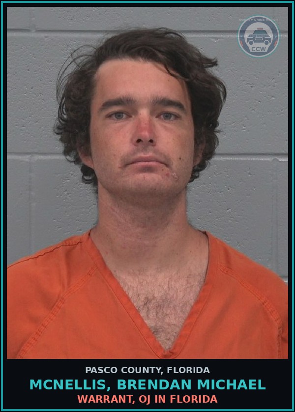 Booking mugshot of MCNELLIS, BRENDAN MICHAEL in Pasco County