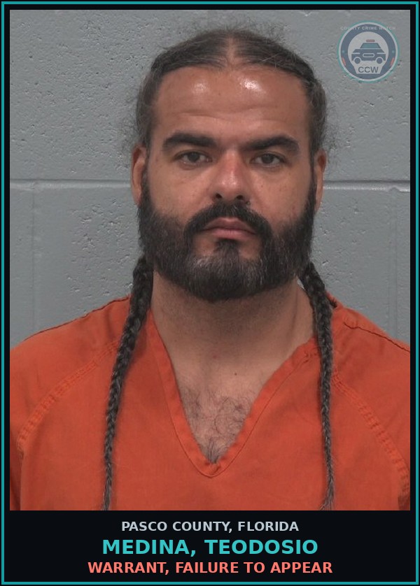 Booking mugshot of MEDINA, TEODOSIO in Pasco County