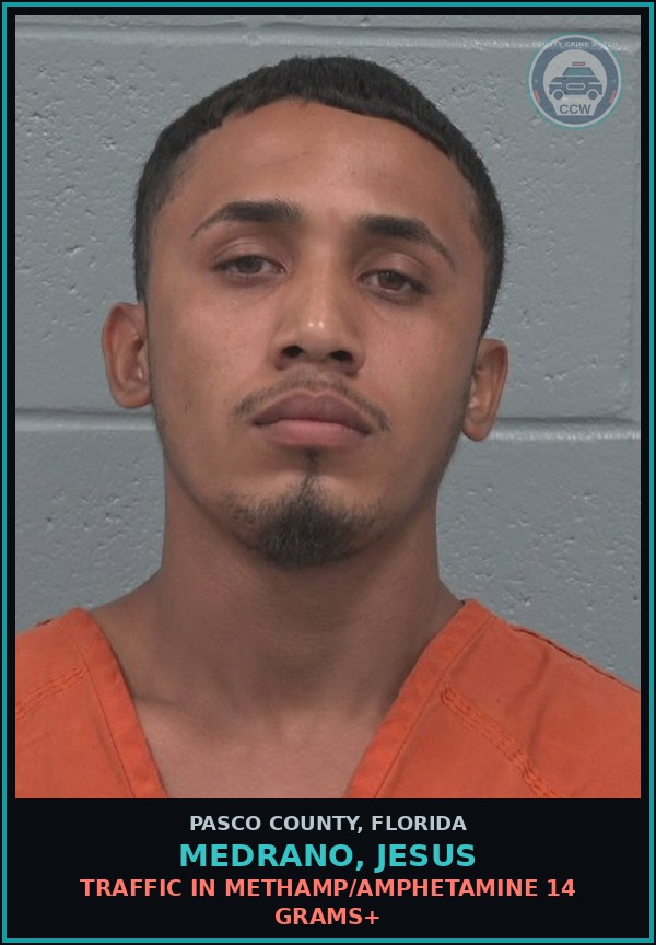 Booking mugshot of MEDRANO, JESUS in Pasco County