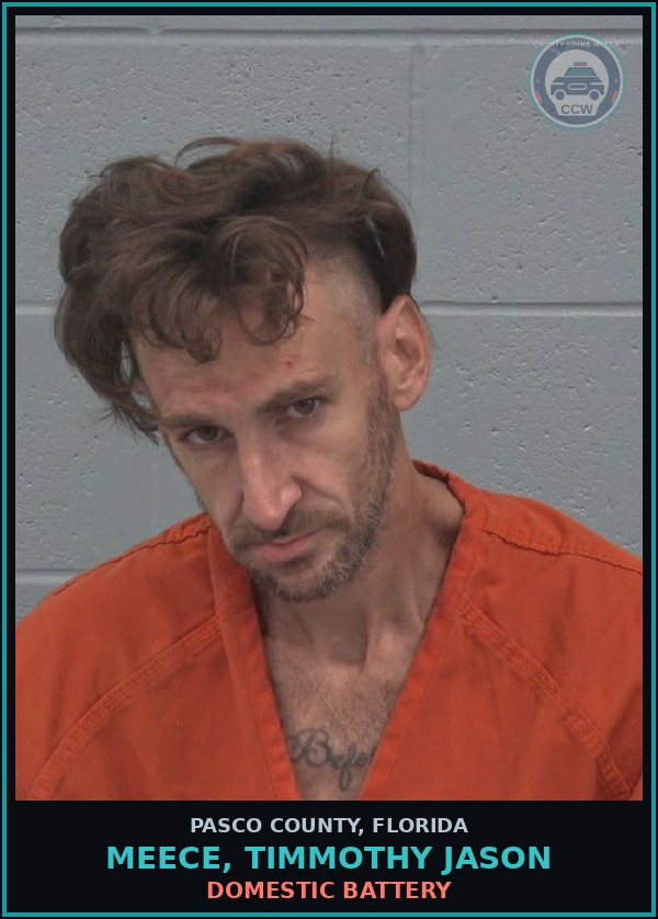 Booking mugshot of MEECE, TIMMOTHY JASON in Pasco County