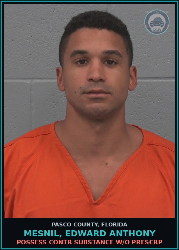 Booking mugshot of MESNIL, EDWARD ANTHONY in Pasco County