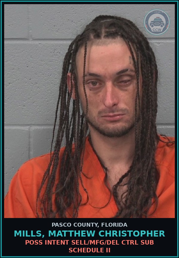 Booking mugshot of MILLS, MATTHEW CHRISTOPHER in Pasco County