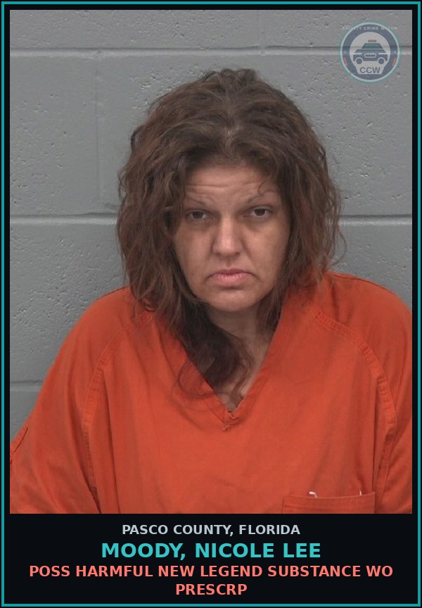 Booking mugshot of MOODY, NICOLE LEE in Pasco County