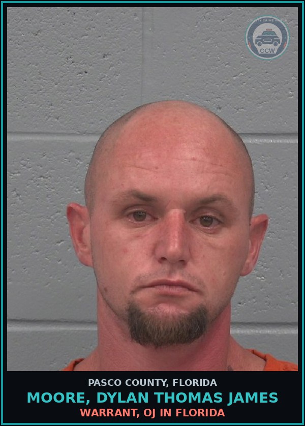 Booking mugshot of MOORE, DYLAN THOMAS JAMES in Pasco County