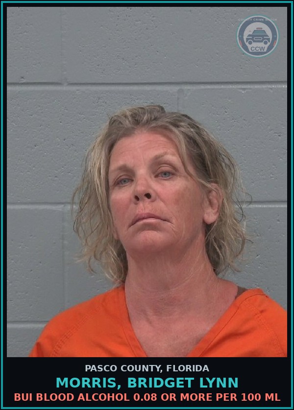 Booking mugshot of MORRIS, BRIDGET LYNN in Pasco County